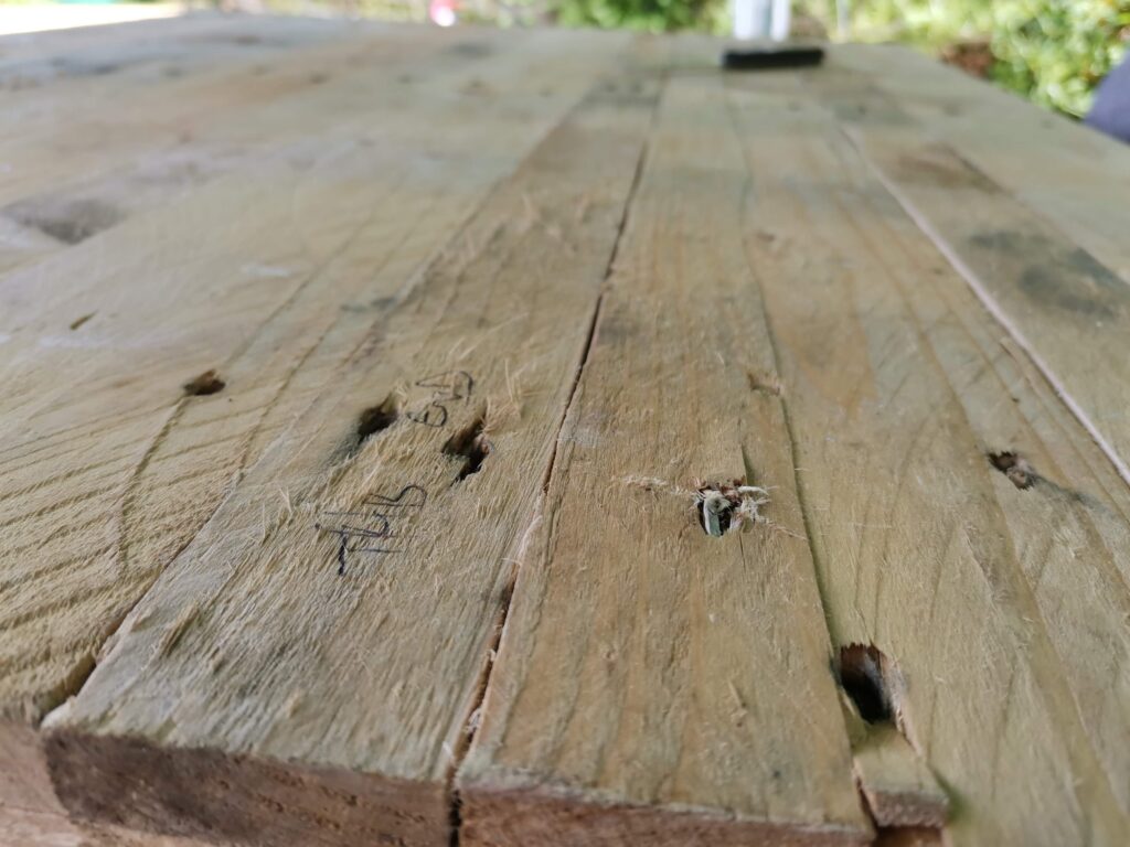 rough wooden tabletop