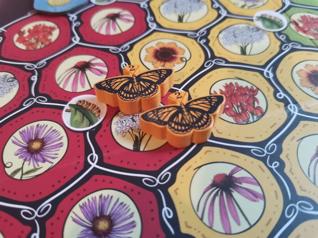 butterflies on the board