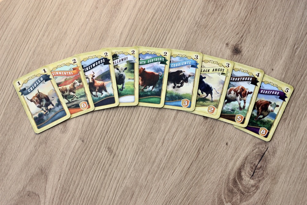 cattle cards from GWT el paso