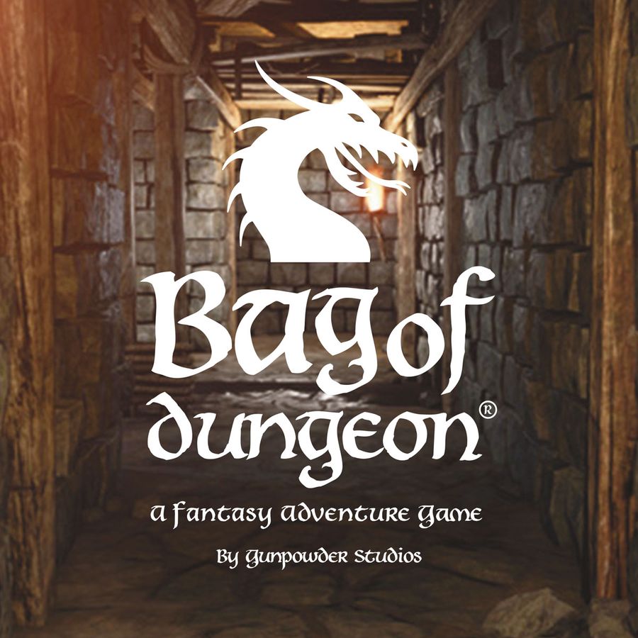 bag of dungeon box art