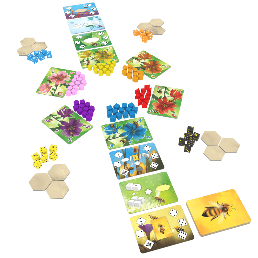 waggle dance game layout