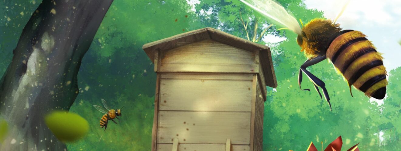 waggle dance box art