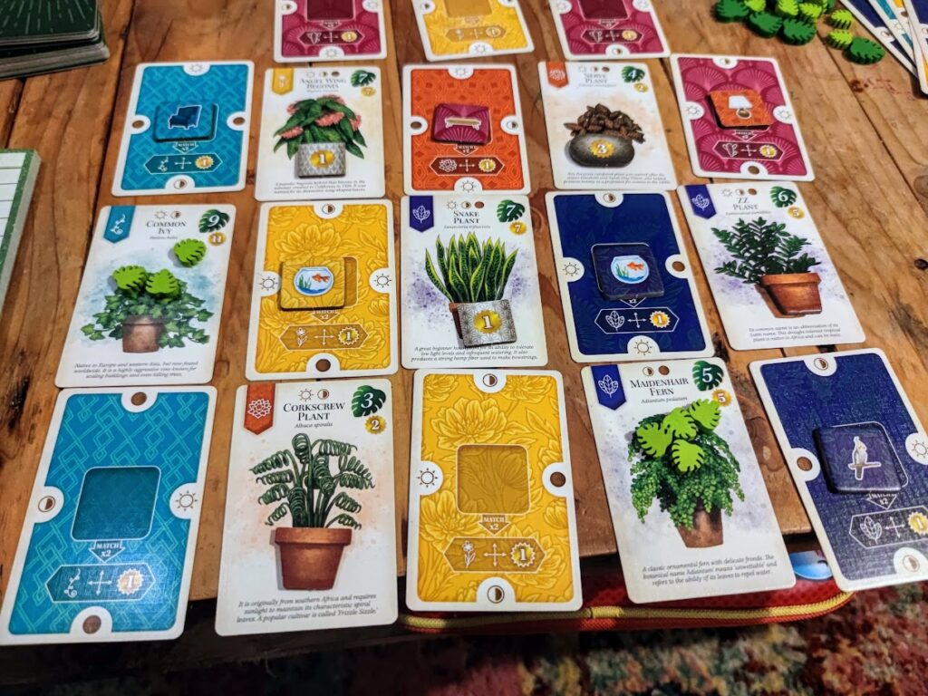 The verdant cards laid out in a five by 3 grid, as per the end of game situation