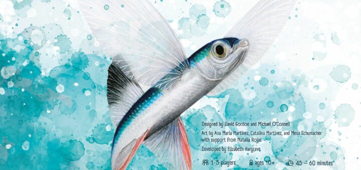 finspan box art