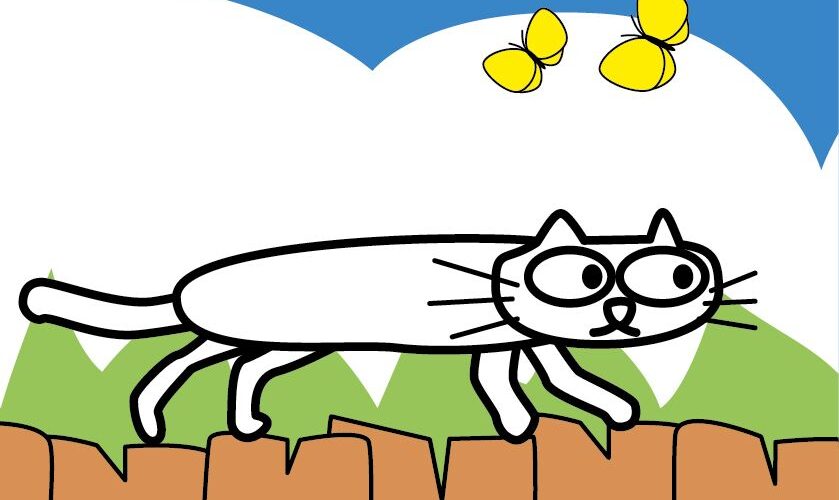 cat chi cat box art