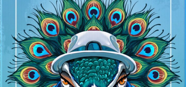fetching feathers box art