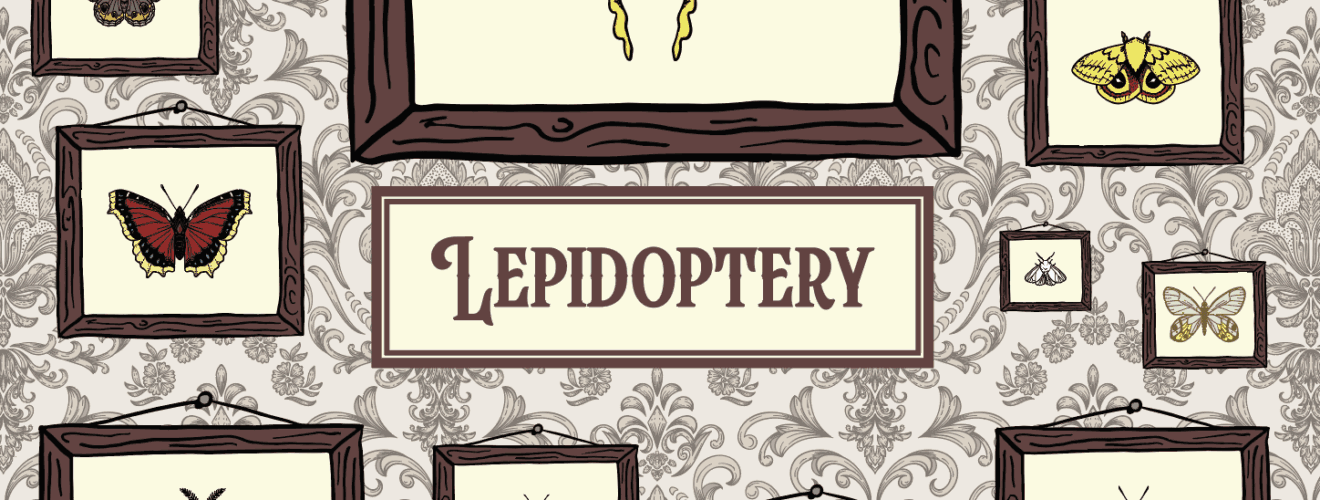 lepidoptery box art