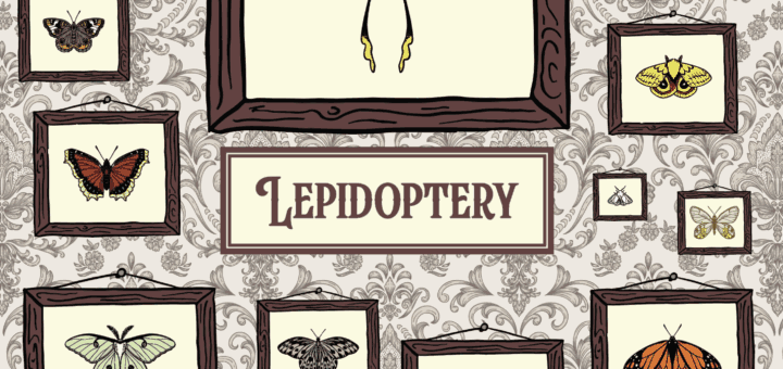 lepidoptery box art