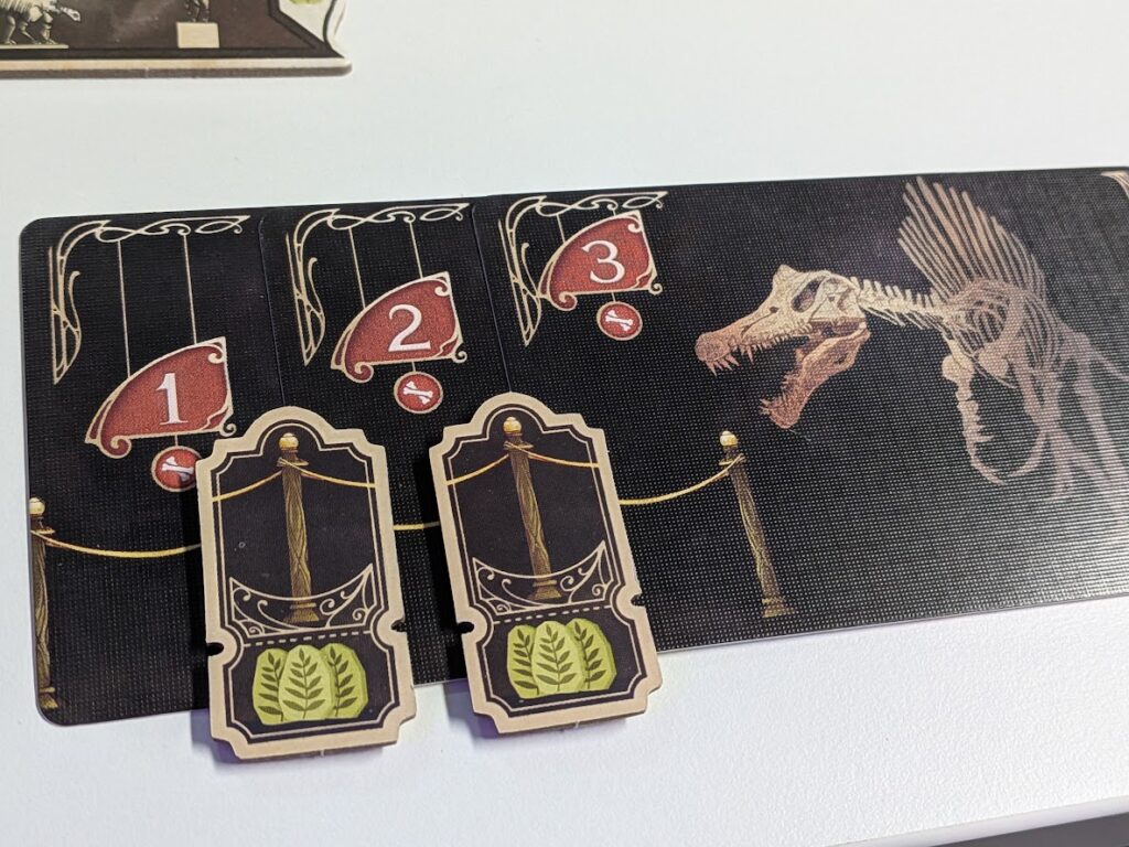 a complete fossil set in first giants